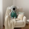 Miś koala