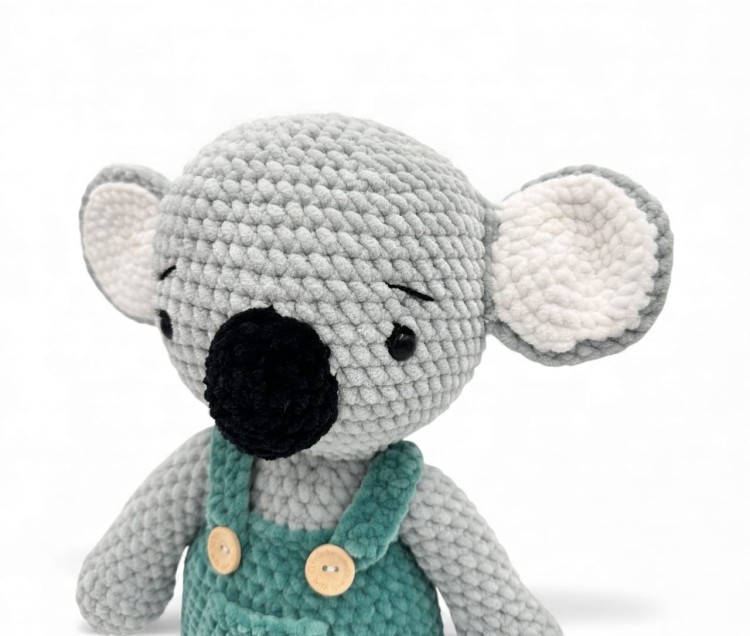 koala.jpeg